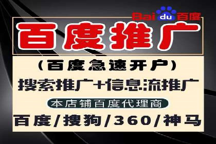 揭秘成功的关键词竞价排名背后的策略与执行